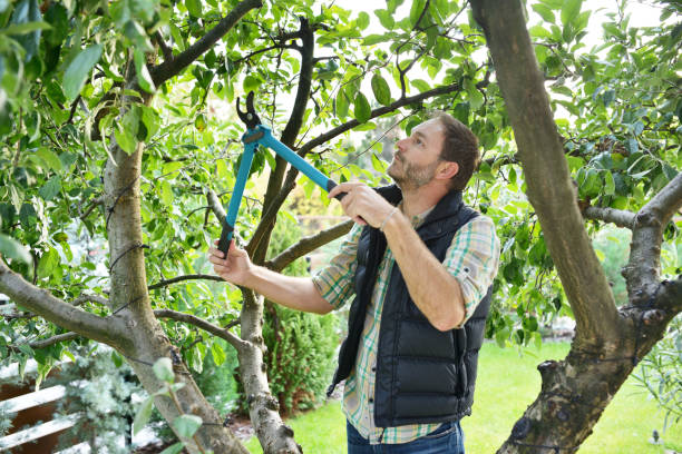 Best Soil Testing and Treatment  in Parkland, WA
